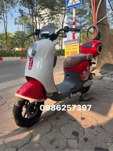 Xe điện nội địa trung quốc chạy pin mới 100%